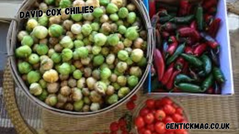 david cox chilies